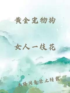 黄金宠物狗