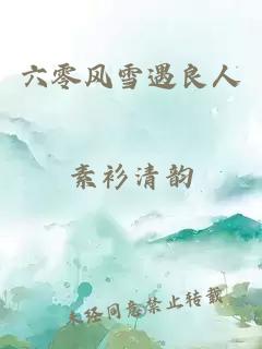 六零风雪遇良人